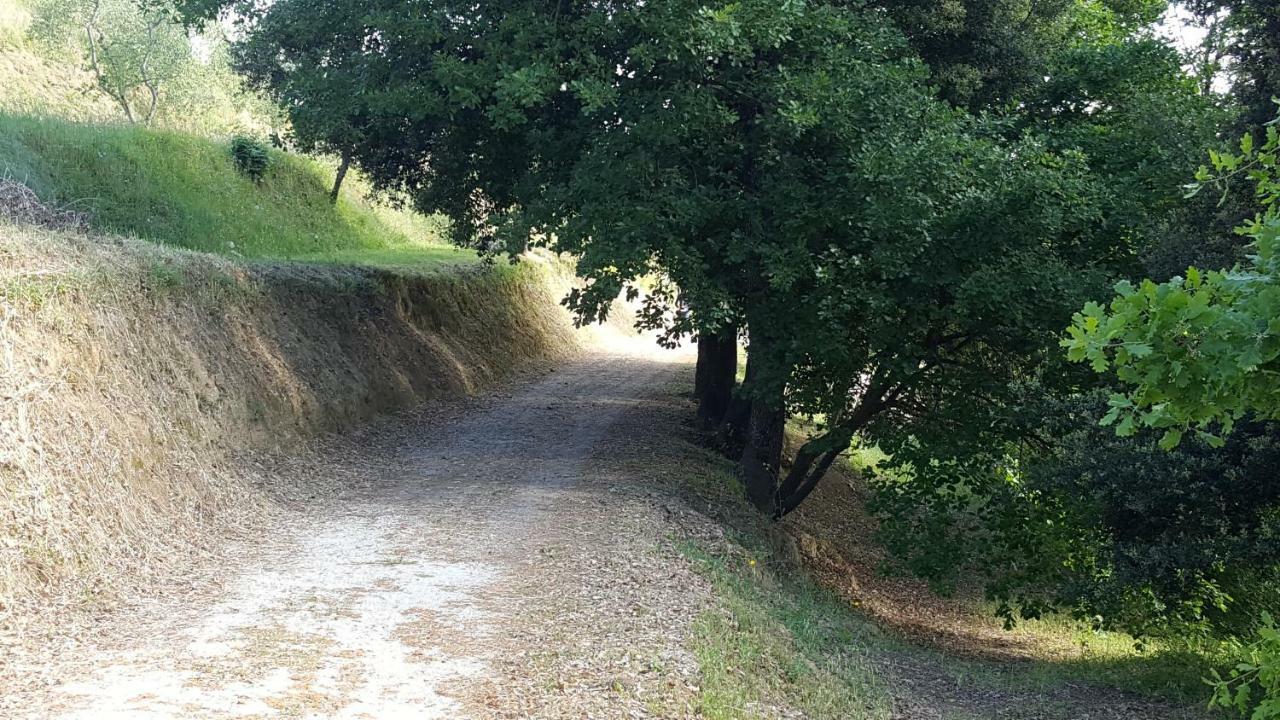 Agriturismo Le Querce Palaia Bagian luar foto