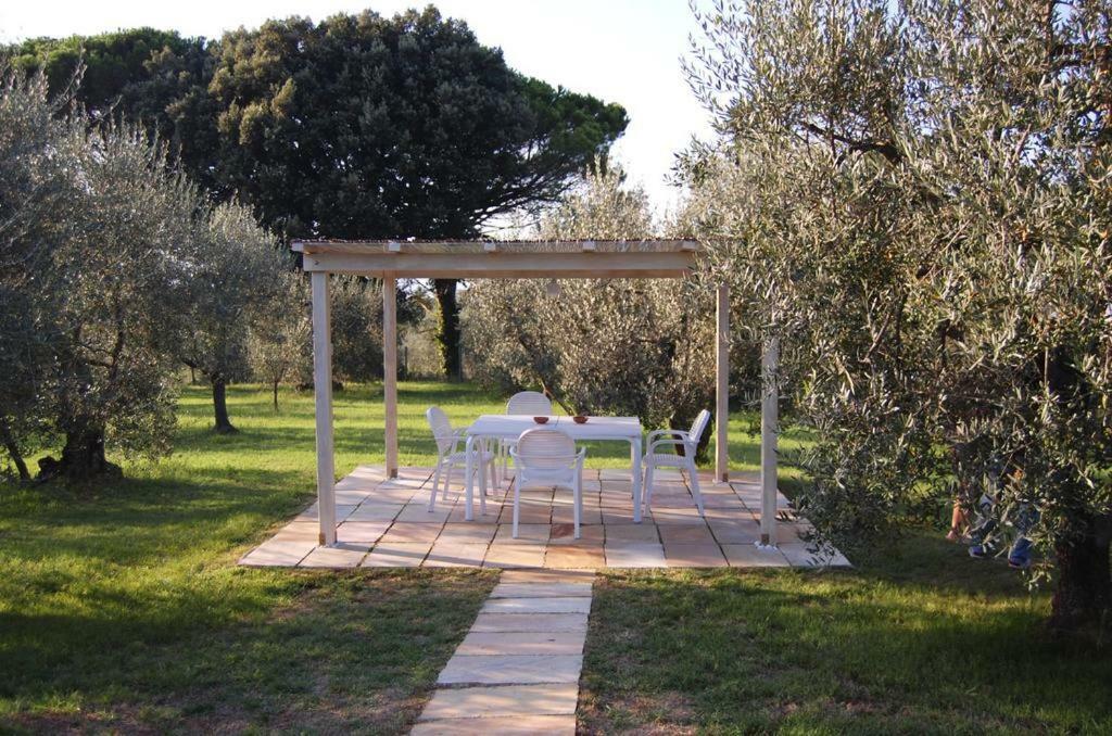 Agriturismo Le Querce Palaia Bagian luar foto